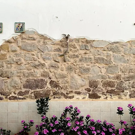 بيت للعطل Il Maestralino, With Courtyard *